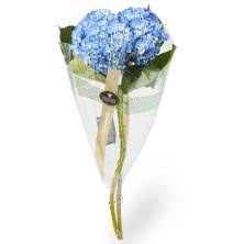 Make stunning bouquets for bridesmaids to complement the bride's bouquet. Search Publix Super Markets