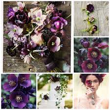 These stunning blooms often festoon the trees as spring arrives, getting everyone who sees them excited for the season to come. Seasonal Wedding Flowers Jan March Whisper And Blush
