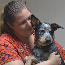 Adairsville Animal Hospital