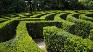 Maybe you would like to learn more about one of these? How Do You Invest In Hedge Funds Forbes Advisor