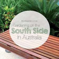 Maybe you would like to learn more about one of these? Gardening On The South Side In Australia About The Garden Magazine