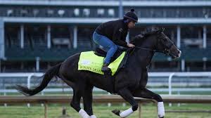 5 Kentucky Derby horses to root for in 2026 Run for the Roses field