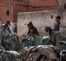 Tannery workers — Collective Fashion Justice