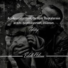 373 Begenme 2 Yorum Instagram Da Edebi Akim Edebi Akim Aci Duyabiliyorsan Canlisin Baskalarinin Acisini Duyabiliyor Guzel Soz Alintilar Ozlu Sozler