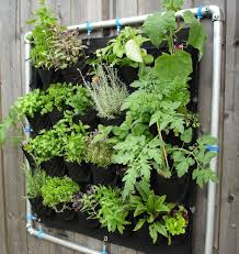 We did not find results for: Make The Most Of Your Growing Space With Vertical Gardening Seed Pantry Blog