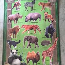Animal Chart Babies Kids Toys Walkers On Carousell