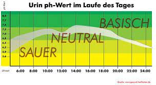 Ubersicht Urin Ph Wert Im Laufe Des Tages Sauren Und Basen Ph Wert Ph Werte