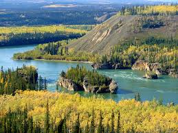 Five Finger Rapids Eine Felsformation Im Yukon River Im Yukon Territorium Danke An Sk Kunde E Breitenoder Sktouristi Kanada Reisen Kanada Urlaub Reisen