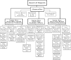 information digest 1998 1999 organization chart