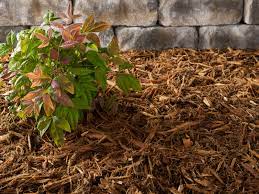 People also love the way gala apples store so well. Nofloat Cypress Blend Mulch Brown Mulch 2 Cubic Foot Walmart Com Walmart Com