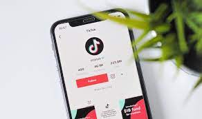 Nombres Para Tik Tok Como Elegir Un Un Buen Apodo 2021