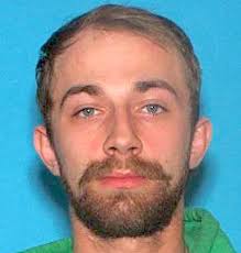 Lee Robert Fortney Archives