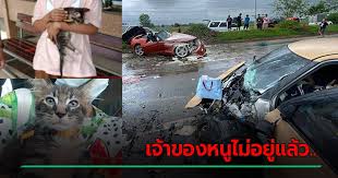 ข่าวบีเอ็มชนสวิฟท์ รวมข่าวบีเอ็มชนสวิฟท์ วันนี้ล่าสุด อัปเดตข่าวของบีเอ็มชนสวิฟท์ ทุกประเด็นข่าววันนี้ ข่าวล่าสุดเกี่ยวกับบีเอ็มชนสวิฟท� Xnucumakfhp5mm