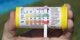 Top 6 Best Pool Test Strips For The Money 2019 Reviews