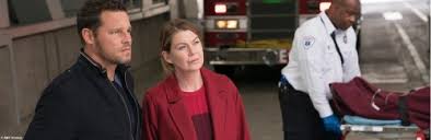 Vielmehr geht es um freundschaft , liebe, karriere und ängste. Grey S Anatomy Geht Weiter Quotenmeter De Mobile