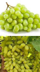 इन लोगों के लिए अंगूर है अमृत समान, जानें खाने के फायदे - India TV Hindi