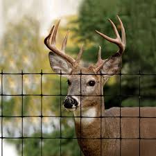 Filtered, purified or spring water. Keep Deer From Eating Landscape Plants Home Garden And Homestead