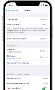 10 pertanyaan seputar iphone dual sim untuk pengguna pemula. Menggunakan Dual Sim Dengan Dua Kartu Nano Sim Apple Support