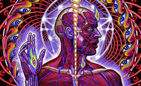 Madison square garden is where some of the most important sport games have taken place, making it one of the most famous arenas in new york city. Tool Directo Desde El Madison Square Garden 2001 Por El 20 Aniversario De Lateralus Binaural