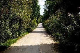 Το τατόι έχει πολλά κρυμμένα μυστικά τα οποία χάνονται μέσα στο σκηνικό εγκατάλειψης που του επεφύλαξε τις τελευταίες δεκαετίες η πολιτεία, στην οποία ανήκει το πρώην βασιλικό κτήμα στις παρυφές της πάρνηθας. Tatoi Ta Prwhn Basilika Anaktora Country Roads Favorite Places Athens