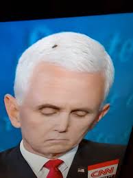 Andrew Lanier (@andrewlanier)