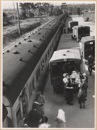 Ambulance Train At Rosehill Transferring Wounded Into Ambulance Rosehill Nsw Ambulance Australia History Photos