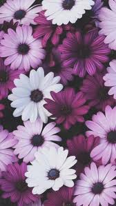 Pin By Naimeh On Quick Saves Purple Wallpaper Flower Wallpaper Iphone Background
