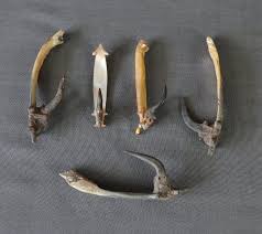 Five Western Pacific Fish Hooks Bone Carving Native American Artifacts Vintage Fishing Lures