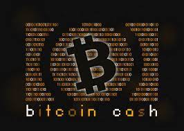 He described everything within the crypto ecosystem as part of the same tree and while still holding the majority of his value in bitcoin, voorhees believes that bitcoin was just the first building block of a decentralized finance. Erik Voorhees Clarifies His Stance On Bitcoin Cash
