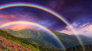 Maybe you would like to learn more about one of these? Double Rainbow 1080p 2k 4k 5k Hd Wallpapers Free Download Wallpaper Flare