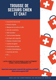 epingle sur chats et chiens