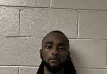 Whimsical Wings Butterfly Farm: Where imagination and learning take flight 