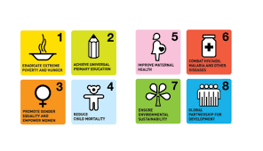 Sap master data governance (sap mdg). Ncds And The Millennium Development Goals Ncd Alliance