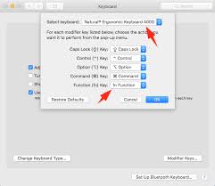 Microsoft Keyboard 4000 Mac Drivers