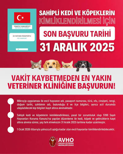 Evcil Hayvanların İçin Son Gün 31 Aralık mı? Gel, Seninle Bir Konuşalım!