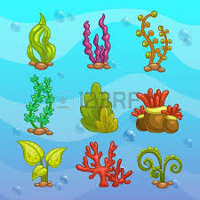 Set Of Cartoon Algae Elements For Aquarium Decoration Vector Mermaid Drawings Aquarium Decorations Easy Drawings