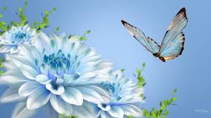 Download Beautiful Butterfly Wallpapers Group 74