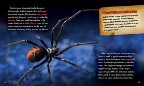 Black widow envenomation in pregnancy may cause abdominal muscle spasms severe enough to threaten spontaneous abortion or early onset of labor. The Black Widow Spider Brainstorm Library