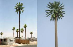 Animal kingdom is an american drama television series developed by jonathan lisco. The Most Unusual Cell Towers Non Standard Solutions For Standard Tasks Prog World