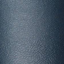 Image result for Blue 1998 CIL