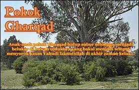 Sejarah singkat israel, judah dan yahudi. Fakta Yahudi Dan Pokok Gharqad Tahyul Karut Atau Benar Facebook