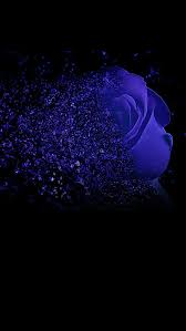 Beautiful Black And Blue Roses In Un Contesto Di Nero Le Rose Blu Sullo Sfondo Di H5 Blue Rose Tattoos Purple Aesthetic Blue Rose
