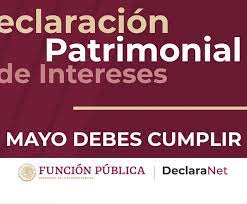 El abc del formato de declaraciones de situación patrimonial y de intereses. Declaracion Patrimonial Y De Intereses 2021 Conalep Oficinas Nacionales