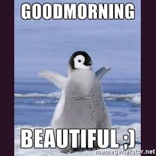 80 Good Morning Memes To Kickstart Your Day Sayingimages Com Baby Penguins Penguins Funny Penguins