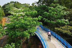 小步舞曲 苗栗 九華山銅鑼自行車道 天空步道 一起 去旅行 痞客邦 outdoor garden bridge outdoor structures