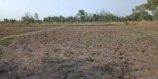 There are 1,299 agricultural lands for sale , in selangor , you can use our elegant property search tool to find the right new agricultural lands and other resale properties with detailed information , including maps and photos. Agriculture Land For Sale In Balangir District Odisha Sfarmsindia Com