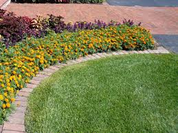 Best landscape edging comparison chart. Which Landscape Edging Is Best Landscape Associates