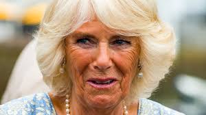 Camilla Bowles May Take Over This Role For Prince Philip Following His Death