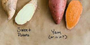 .potatoes recipes on yummly | roasted parmesan herb sweet potatoes, easy sweet potatoes au gratin, honey bourbon glazed sweet potatoes. What S The Difference Between Yams And Sweet Potatoes Kitchn