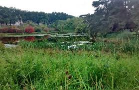 .locales de la ville de douai, en moyenne, on peut espérer récupérer 600 mm d'eau de pluie par m², ce qui représente 0,6 m3 d'eau collecté par mètre cuve (c) est en fonction du volume d'eau de pluie récupérable (v) par an, des besoins annuels en eau de pluie (b) et du choix du nombre de jours de. Climat A Berlin Viveberlin Tours